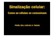 Sinalização celular - Portal FOP-Unicamp · 1. Transferência direta de sinaissinais elétricoselétricos e químicosquímicos atravésatravés de junções junções comunicantescomunicantes