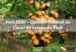 Pará 2030 Cadeia Produtiva do Cacau no Estado do Pará. · Belém-Pará 23/09/2016 Pará 2030 –Cadeia Produtiva do Cacau no Estado do Pará