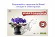 Preparação e resposta do Brasil Dengue e Chikungunya · Atividades de preparação dengue e chikungunya • Elaboração do Guia de Manejo Clínico e protocolo de classificação