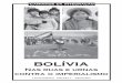 bolívia - alainet.org · À Rosane Bertotti, pela parceria construída nas batalhas; Ao Carlos Lopes e à combativa e aguerrida redação do HP; À Paula Brandão, 