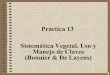 Sistemática Vegetal. Uso y Manejo de Claves (Bonnier & De ... PDF/Prácticas/Práctica 13... · Sistemática Vegetal. Uso y Manejo de Claves (Bonnier & De Layens) Uso de Claves Sinópticas