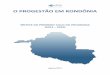 O PROGESTÃO EM RONDÔNIA - progestao.ana.gov.brprogestao.ana.gov.br/portal/progestao/mapa/ro/progestao_ro_2015.pdf · recursos hídricos em âmbito estadual, selecionadas pelos órgãos