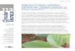 Eficiência de fungicidas multissítios e fertilizantes no ... · 2 Eficiência de fungicidas multissítios e fertilizantes no controle da ferrugem-asiática da soja, Phakopsora pachyrhizi,