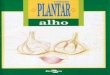 Embrapa - (Colecao Plantar - VIRTUAL) - aLHO · produzir bulbos (cabeças) grandes, e o potássio garante o bom desenvolvimento da planta. O alho também exige outros nutrientes,