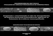Preparação e caracterização in vitro de micropartículas de ... · liberação microparticulado para veiculação de uma heparina fracionada (HF), a enoxaparina sódica, muito