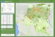 DOMAINE FORESTIER DE LA REPUBLIQUE DEMOCRATIQUE …pdf.wri.org/rdc_affiche.pdf · ces données, afin de renforcer l’application de la réglementation forestière et d’accroître