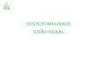 Sustentabilidade Visão Geral - fen.org.br · Satisfação Intelectual, emocional, moral e espiritual Ambiental Econômico Social Sustenta- bilidade Cultural Os 4 pilares da ... (equidade
