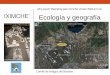 pan Iximche ’ Ratz’am IXIMCHE’ Ecología y geografíaoralidadmaya.info/Doc_1_Geografia_y_ecologia_iximche_2017.pdf · •El territorio kaqchikel abarcaba hasta 3,000 km2, 