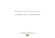Cipriano Carraro - Família Cararo e Jacon · Relatório de Genealogia para CIPRIANO CARRARO Criado em em 26 de agosto de 2013 "The Complete Genealogy Reporter" ... 82. INDIRETAMENTE