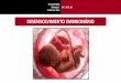 Apresentação do PowerPoint - energiabarreiros.com.br · Oferece proteção ao embrião e aos outros anexos embrionários. Encontrado em aves, répteis e mamíferos. ... • Respiratória