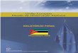 União Europeia Missão de Observação Eleitoraleeas.europa.eu/archives/eueom/pdf/missions/eu_eom_mozambique_2009... · resultados de 11 de Novembro para fazer uma avaliação do
