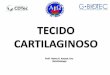 TECIDO CARTILAGINOSO - ufpel.edu.· Características •Avascular, sem linfáticos e terminações