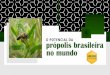 O POTENCIAL DA própolis brasileira no mundo · brasileira em 13 tipos. própolis no Brasil Vários tipos de . REGIÃO PRODUTORA EM SERRA DA CANASTRA Minas Gerais. A Própolis é