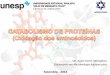 Setembro - 2013 - javali.fcav.unesp.brjavali.fcav.unesp.br/.../catabolismo-de-proteinas.pdf · satisfazer as necessidades de biossíntese de proteínas de ácidos nucléicos e de