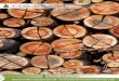 Resumo Público Manejo Florestal TTG Brasil Investimentos ... · Este documento apresenta o resumo público do plano de manejo florestal da TTG Brasil, que tem por objetivo tornar