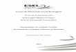 Curso de M estrado em Enfermagem - comum.rcaap.pt final.pdf · Este relatório de estágio reflete a aquisição e aperfeiçoamento de competências profissionais de análise da prática