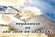 Pedagogia de São José de Calasanz - escolapios.org.brescolapios.org.br/images/download/livro_pedagogia_calasanz.pdf · ... e como discípulos de Jesus aprendem, ... e pedagógica,
