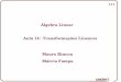 Álgebra Linear Aula 14: Transformações Lineares Mauro ... rincon/Disciplinas/Algebra Linear/Aula_014.pdf · PDF file 14.1 Álgebra Linear Mauro Rincon Márcia Fampa Aula 14: Transformações