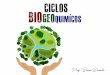 Ciclo Biogeoquímico 2018 - grupopreparaenem.com.br · Ciclo do Carbono Prof. É o percurso percorrido pelo carbono em um ambiente. Bruno Ramello. Ciclo do Carbono Prof. Bruno Ramello
