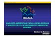 ANÁLISES AMBIENTAIS PARA A NONA RODADA E …brazilrounds.anp.gov.br/arquivos/Round9/palestras/IBAMA(portugues).pdf · . Title: IBAMA (português).PDF Author: ccoutinho Created Date:
