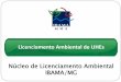 Licenciamento Ambiental de UHEs - cemig.com.br · O Licenciamento Ambiental Federal é um processo administrativo estabelecido ... Tabajara, Complexo Tapajós, Jari, etc: - maior