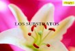 LOS SUBSTRATOS - plantitas.complantitas.com/plantitas/jardineria/articulos/flower/substratos.pdf · Es necesario entonces distinguir entre: •El agua retenida por el substrato y