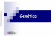 genetica-modificado20082006 [Somente leitura] [Modo de ...... apresenta alelos iguais para um ou mais caracteres. Heterozigoto ou Híbrido: indivíduo que ... F1 100% rosas VV BB em