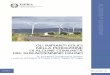 Indagina eolico di Puglia Vol.2 12 giugno - home-it · Antonella Carriero, dottore in Sociologia, ha partecipato alle fasi di impostazione della ricerca, di rilevazione e archiviazione