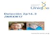 Deleción 2p16.3 (NRXN1) - rarechromo.org 3... · considerados como folletos individuales de instrucciones (o recetas) que contienen toda la información genética que indica al cuerpo