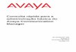 Consulta rápida para a administração básica do Avaya ... · Resposta interativa da Avaya (IR) — fornece resposta às informações fornecidas por voz Terminal de acesso ao sistema