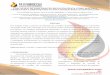 CASCALHOS DE PERFURAÇÃO RICOS EM SÍLICA COMO … · Este trabalho avalia o potencial de utilização dos cascalhos de perfuração em produtos consumidos ... perfuração e hidróxido