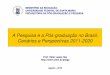 A Pesquisa e a Pós -graduação no Brasil: Cenários e ...coral.ufsm.br/gepoc/sepoc/sepoc2010/progpara_arquivos/SEPOC-HLHey... · a pesquisa e a pós -graduação no brasil: ministÉrio