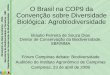 O Brasil na COP9 da Convenção sobre Diversidade Biológica ... · VIRUS 350 55.000 BACTÉRIAS 400 136 ... Avaliação Ecossistêmica do Milênio: Nunca se perdeu tanta biodiversidade