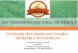 XXX SEMINÁRIO NACIONAL DE CEBOLA - anacebrasil.com.br · estados da Bahia e Pernambuco) ocorre em uma área de 5.306 ha, com produção de 318.378 toneladas/ano distribuída nos