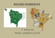 REGIÃO NORDESTE - colegioagape.org.brcolegioagape.org.br/.../uploads/2018/08/7ano_3bim_regiaonordeste.pdf · •A maioria dos rios sertanejos é temporário ou intermitente, e o