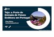 Tejo: a Porta de Et dEntrada de PiPeixes Exóticos em Portugal · Os peixes exóticos do Tejo Pangasio P Peixe-gato-negro Lúcioperca Perca-europeia acu ... Tejo: a Porta de Entrada