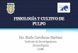 FISIOLOGÍA Y CULTIVO DE PULPO - gob.mx · PULPO Dra. Sheila Castellanos Martínez Instituto de Investigaciones Oceanológicas ... Ciclo de vida de pulpos (sin fase planctónica:no