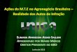 Ações do M.T.E no Agronegócio Brasileiro Realidade dos Autos de …gso.org.br/files/file_id324.pdf · Exigência de certificado de aprovação (CA) emitido pelo MTE EPIs disponibilizados