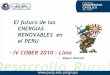 El futuro de las ENERGIAS RENOVABLES en el PERU - IV …miguelhadzich.com/.../ppt-El-futuro-de-las...COBER-2010-M.-Hadzich.pdf · Una de las principales preocupaciones de Marengo