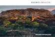 PORTFOLIO - ekosbrasil.org · do país – além de abrigar paisagens naturais de beleza incomparável – geram serviços ecossistêmicos importantes e essenciais à vida, como a