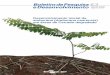Desenvolvimento inicial da amburana ( em áreas de Cerrado … · A madeira aromática, boa de trabalhar (PAULA; ALVES, 1997 citados por ALMEIDA et al., 1998), é moderadamente pesada