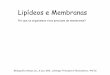 Lipídeos e Membranas - midia.cmais.com.brmidia.cmais.com.br/assets/file/original/44c78b6d30ede75fe9ec81cb92... · Lehninger Principles of Biochemistry, 4th Ed. Lipídeos são moléculas