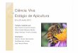 Ciência Viva Estágio de Apicultura - Declinio Abelhas(1).pdf · Em média, cada abelha transportou 0,02 g de néctar. Não foi observada diferença na quantidade transportada nas
