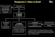 Fluxograma I – Steps no Brasil - tacticalweaponsfl.com · Aconselha-se separar arma curta de arma longa , munição e lunetas ... 2 – Exigência 3 - Deferido. Fluxograma II -