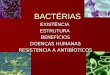 BACTÉRIAS - Educacional DE... · PPT file · Web viewBACTÉRIAS EXISTÊNCIA ESTRUTURA BENEFÍCIOS DOENÇAS HUMANAS RESISTENCIA A ANTIBÍOTICOS CARACTERÍSTICAS Bactérias são procariontes