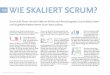 198 WIE SKALIERT SCRUM? - wibas.com .SCRUM TEAM DER SCRUM MASTER Scrum Master A Scrum Master B Scrum