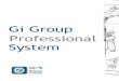 GI Group Professional System · propostos pelo modelo, o trabalho de classificação no Gi Group permitiu identificar: 6 níveis de complexidade para o tipo de cargo Professional