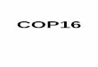 COP 16 - resumo participação CEBDS · Nesse Grupo, são discutidas as futuras formas de mitigação, adaptação, aportes financeiros e redução de emissões por desmatamento em