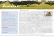EDITORIAL · Notícias do ICAAM | nº 5 | 1 EDITORIAL do Alentejo (vinha, olival, sistemas agro-silvo-pastoris, produção e saúde animal), assim como em questões transversais 