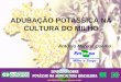 ADUBAÇÃO POTÁSSICA NA CULTURA DO MILHObrasil.ipni.net/ipniweb/region/brasil.nsf... · MILHO NO BRASIL • A cultura do milho no Brasil vem apresentando um crescimento expressivo